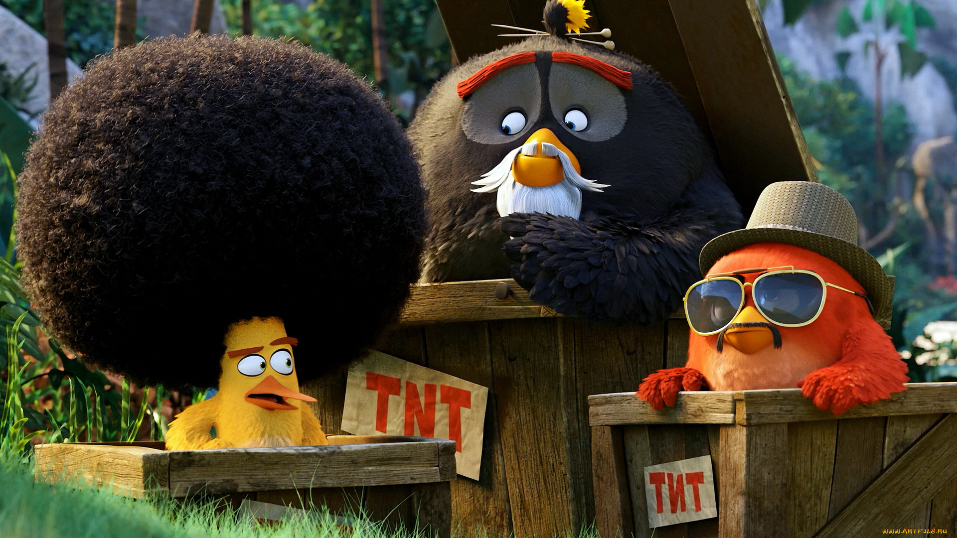 , the angry birds movie, 